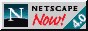 netscap4.gif (7498 bytes)